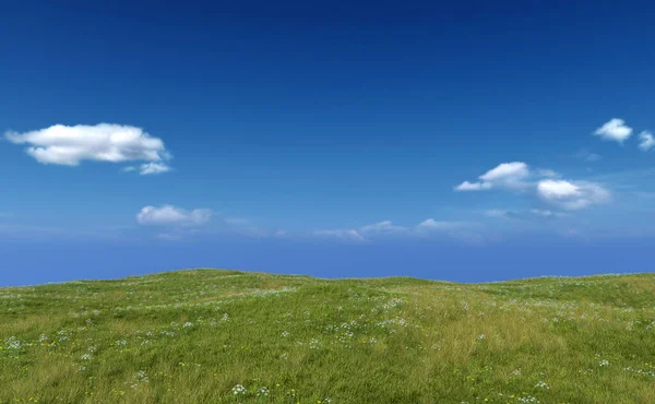 Rolling Landscape Grassland Daisies Blue Cloudy Sky Render — Stock Photo, Image