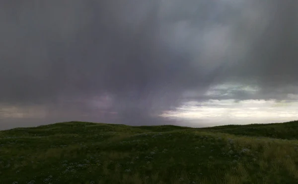 Karanlık Bulutlu Bir Gökyüzü Altında Çayırlarla Papatyalarla Yuvarlanan Bir Manzara — Stok fotoğraf