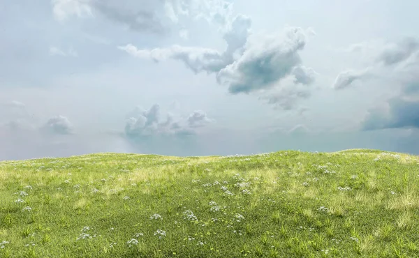 Paysage Vallonné Avec Prairies Marguerites Sous Ciel Nuageux Rendu — Photo