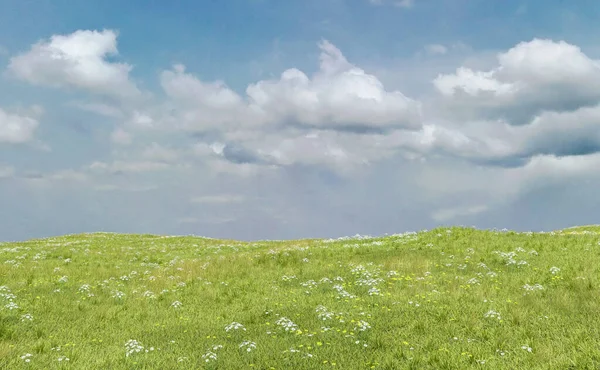 Paisagem Rolante Com Prados Margaridas Sob Céu Azul Nublado Renderização — Fotografia de Stock