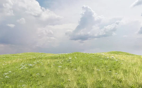 Válcující Krajina Pastvinami Sedmikráskami Pod Zataženou Oblohou Vykreslení — Stock fotografie