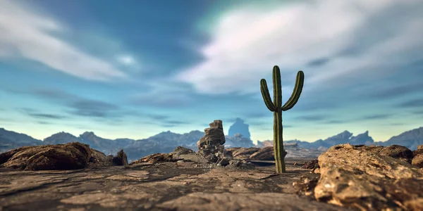 Cactus Dans Paysage Rocheux Aride Par Une Journée Ensoleillée Rendu — Photo