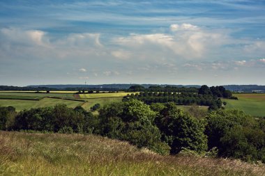 Rolling agricultural fields with trees under a blue cloudy sky.