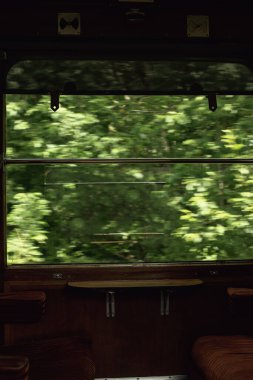 Eski bir tren kompartımanının içinden görüldüğü gibi yeşil çalıların üzerinden pencereye bak.