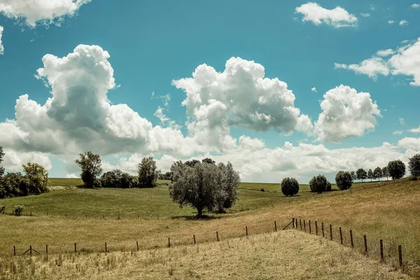 Rolling landscape with meadows and trees in countryside under blue cloudy sky.