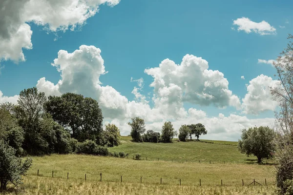 Rolling Landscape Meadows Trees Countryside Blue Cloudy Sky — Fotografia de Stock