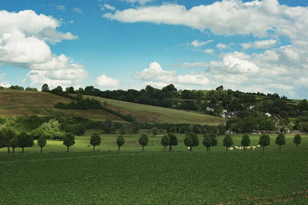 Terras Agrícolas Com Árvores Sebes Algumas Casas Uma Paisagem Rolante — Fotografia de Stock