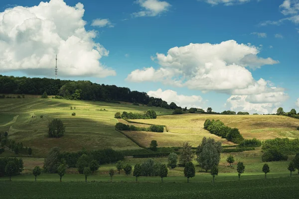 Farmland with trees and hedges in a rolling landscape under a blue cloudy sky.