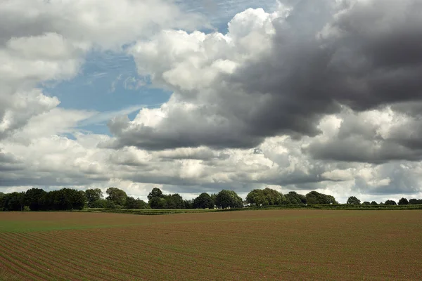 Terreno Agrícola Ondulado Con Setos Árboles Bajo Cielo Nublado — Foto de Stock