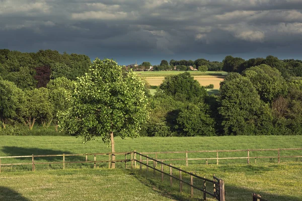 Pasture Wooden Fences Trees Rolling Countryside Cloudy Sky — Zdjęcie stockowe