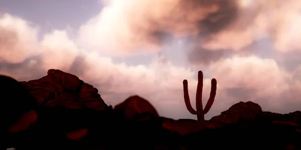 Arid Sandstone Landscape Solitary Cactus Cloudy Sky Sunset Render — Zdjęcie stockowe