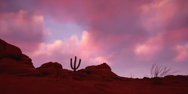Арід Пісковик Пейзаж Одиночним Кактусом Під Хмарним Небом Сході Сонця — стокове фото