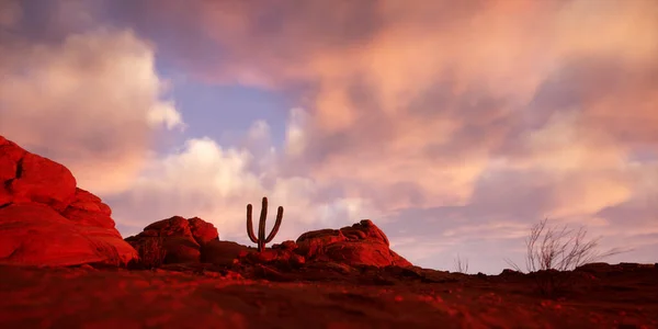 Solitary Cactus Arid Sandstone Landscape Cloudy Sky Sunset Render — Stockfoto