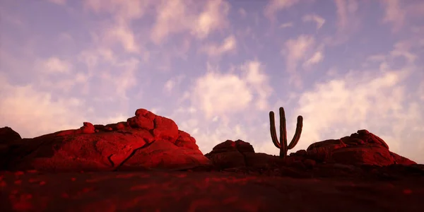 Solitary Cactus Arid Sandstone Landscape Cloudy Sky Sunset Render — Stockfoto