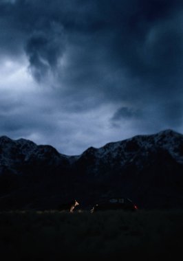 Car and wolf on prairie with mountains under a dark cloudy sky at twilight. 3D render.