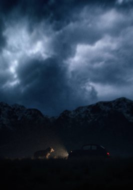Car and wolf on prairie with mountains under a dark cloudy sky at twilight. 3D render.