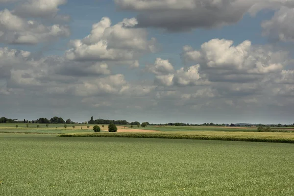 Rolling landscape in countryside with farmland and trees under a blue cloudy sky.