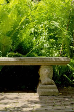 Ancient stone bench with lion head ornament in front of ferns in backyard.