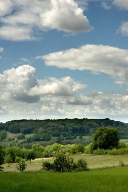 Rolling countryside with trees, forest and fields under blue cloudy sky.