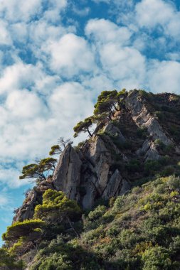 Mavi bulutlu gökyüzünün altındaki kayalık bir dağda bitki ve ağaçlar.