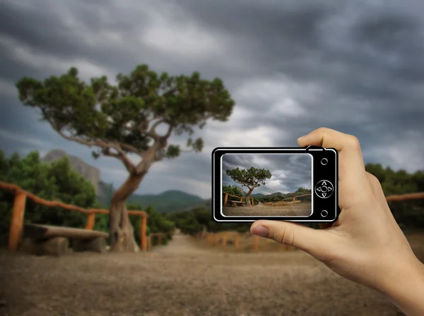 Turist håller upp abstrakta kamera på bergslandskap — Stockfoto
