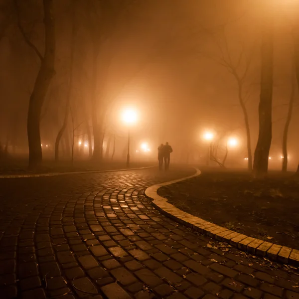 Romántico y la felicidad escena de parejas noche de niebla en el parque —  Fotos de Stock