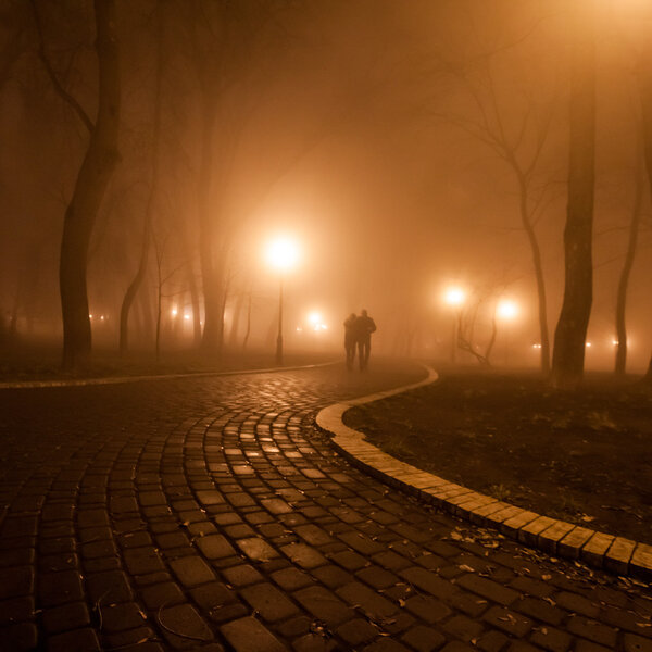 романтическая сцена счастья пар туманный вечер в парке
