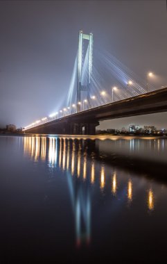 Kış Güney Köprüsü. Ukrayna. Kiev.