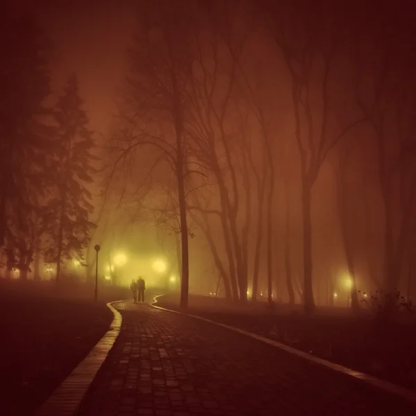 Romántico y la felicidad escena de parejas noche de niebla en el parque — Foto de Stock