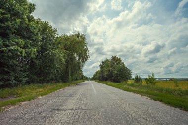 Orman yoluyla ülkenin karayolu