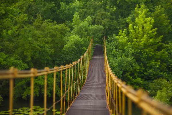 Metall hängbron över floden — Stockfoto