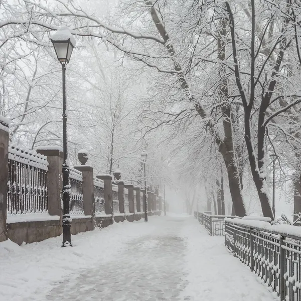 Parque da cidade de inverno de manhã — Fotografia de Stock