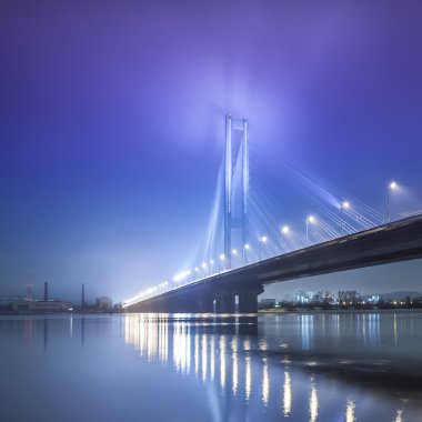 Kışın Güney Köprüsü. Ukrayna. Kiev.