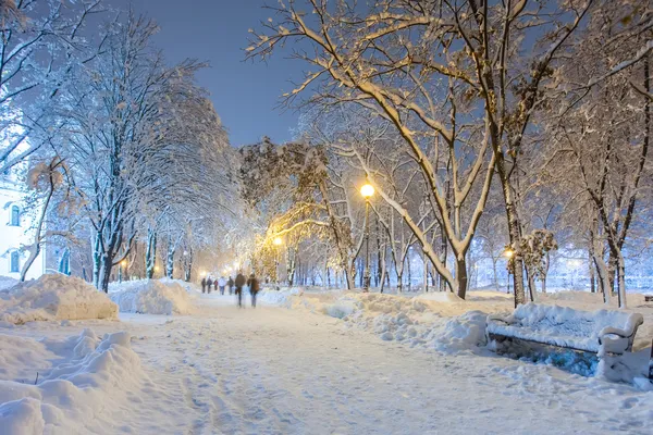 Winter city park — Stock Photo, Image