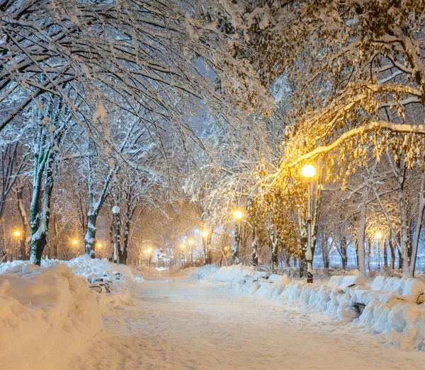 Зимний городской парк — стоковое фото