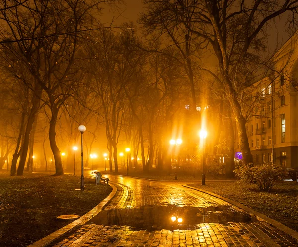 Nebbia serata nel parco — Foto Stock