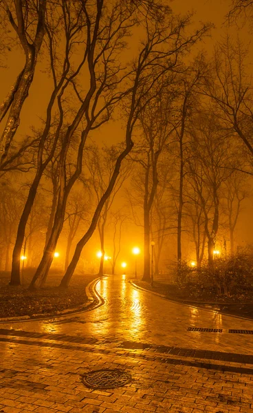 有雾的晚上在公园里 — 图库照片