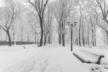 Kış city park sabah