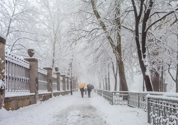 Πάρκο πόλης χειμώνα πρωί — Φωτογραφία Αρχείου