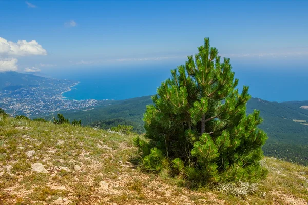 A panoramic view of Yalta city from Ai-Petri mountain, Crimea, Ukraine — Stock Photo, Image