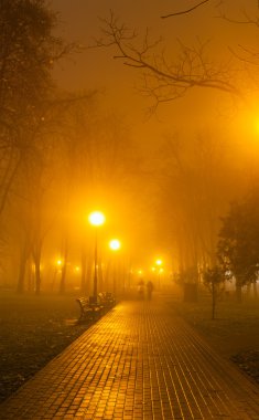 çiftler sisli akşam romantik ve mutluluk sahne Park