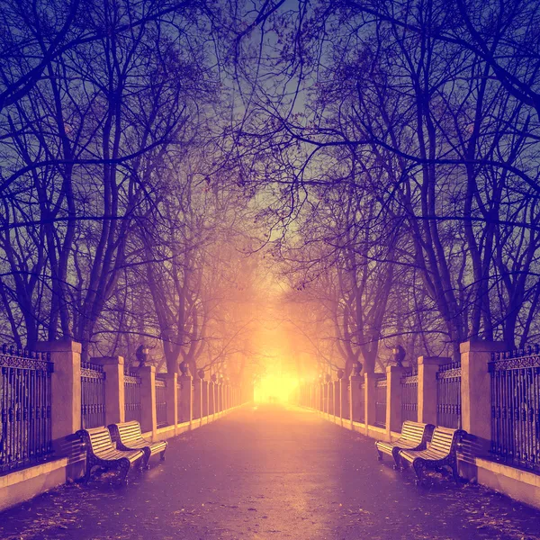 patika muhteşem bir sonbahar Şehir Parkı