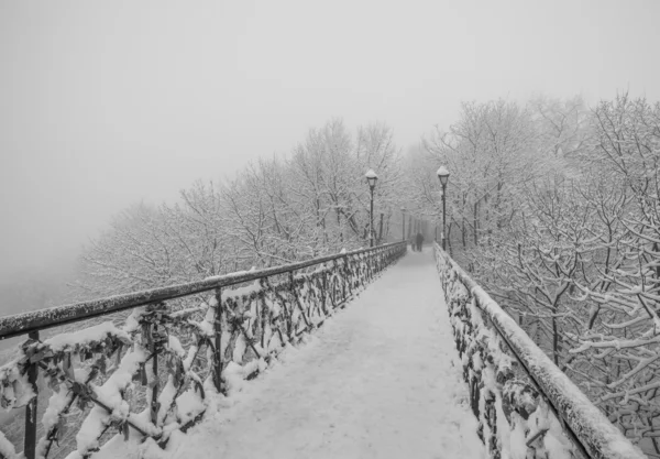 Zimní městský park. milenci most v Kyjevě. Ukrajina. — Stock fotografie