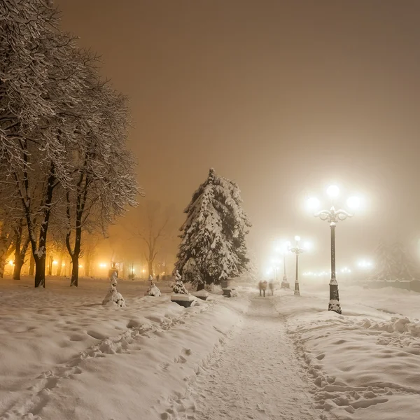 Zimní městský park. Kyjev. Ukrajina. — Stock fotografie