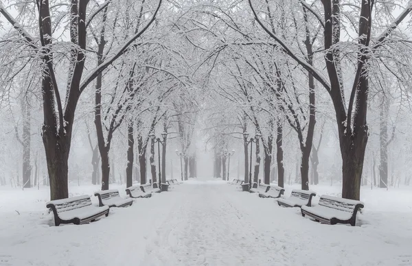 Sendero en un fabuloso parque de invierno de la ciudad — Foto de Stock