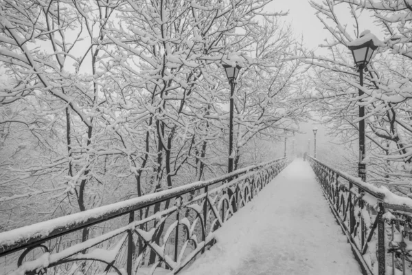 Parque da cidade de inverno. ponte de amantes em kiev. Ucrânia. — Zdjęcie stockowe