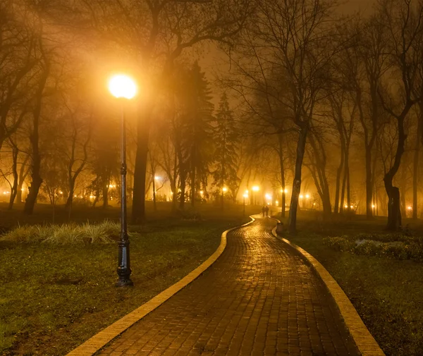 Romantisk och lycka scen av par dimmig kväll i parken — Stockfoto