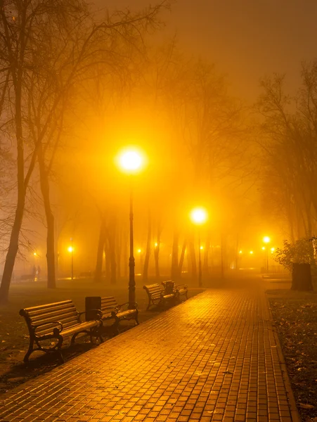 Romántico y la felicidad escena de parejas noche de niebla en el parque —  Fotos de Stock