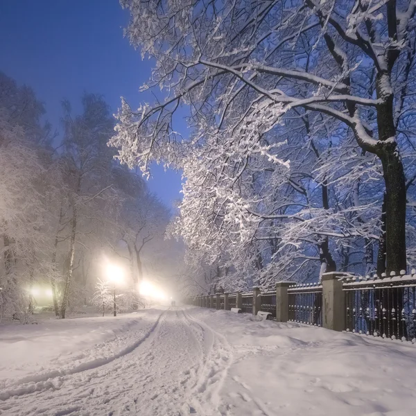 Зимний городской парк — стоковое фото
