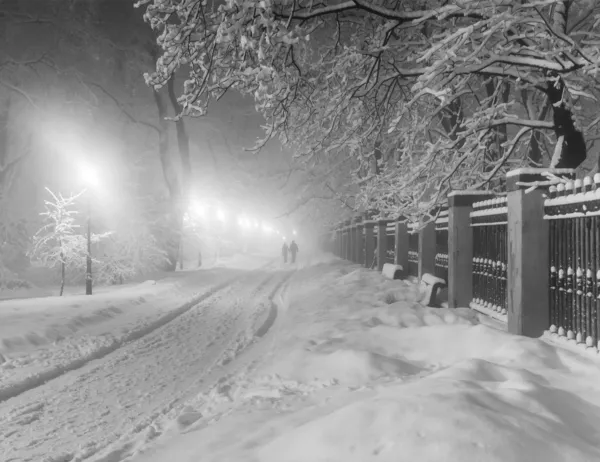 夜の冬公園 — ストック写真